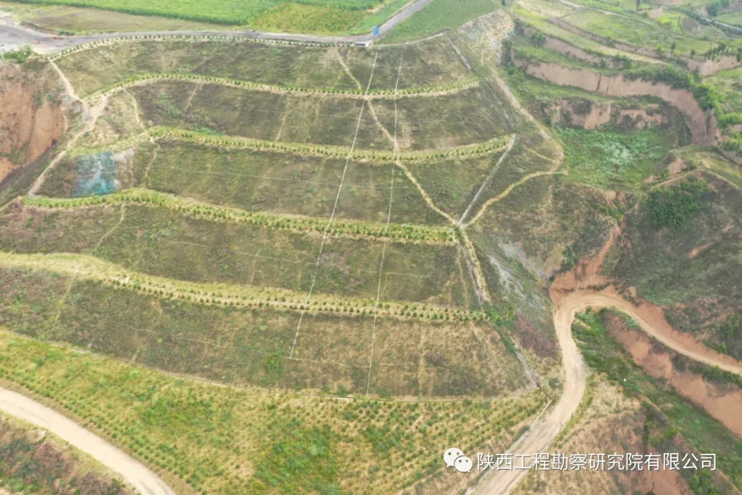 61a9cbd5ec7a0.jpg 640.webp (1).jpg